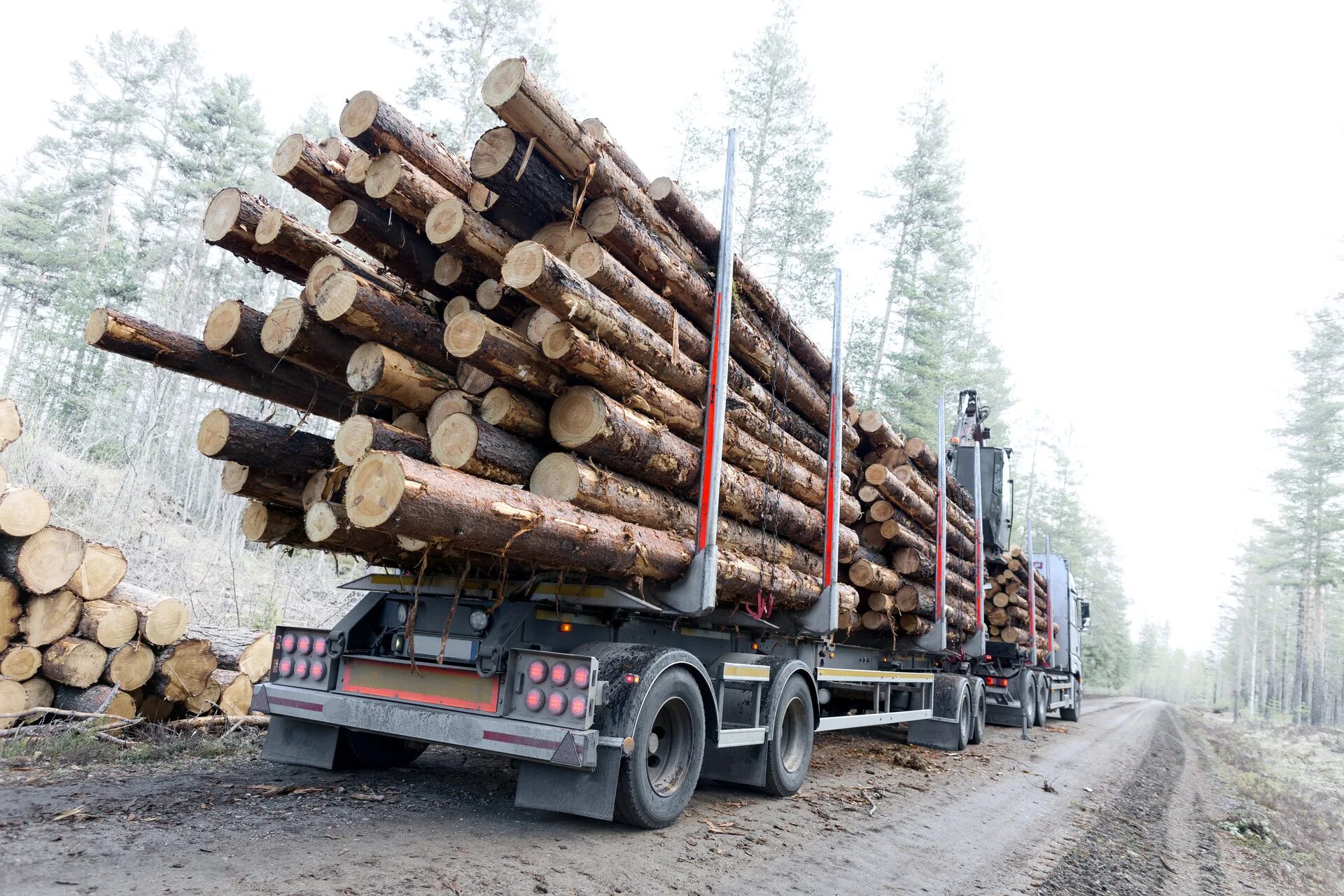 Problems logging