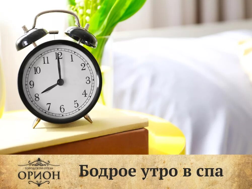 Бодрое утро. Бодрое утро утро. Активное утро. Утро будильник цветы.