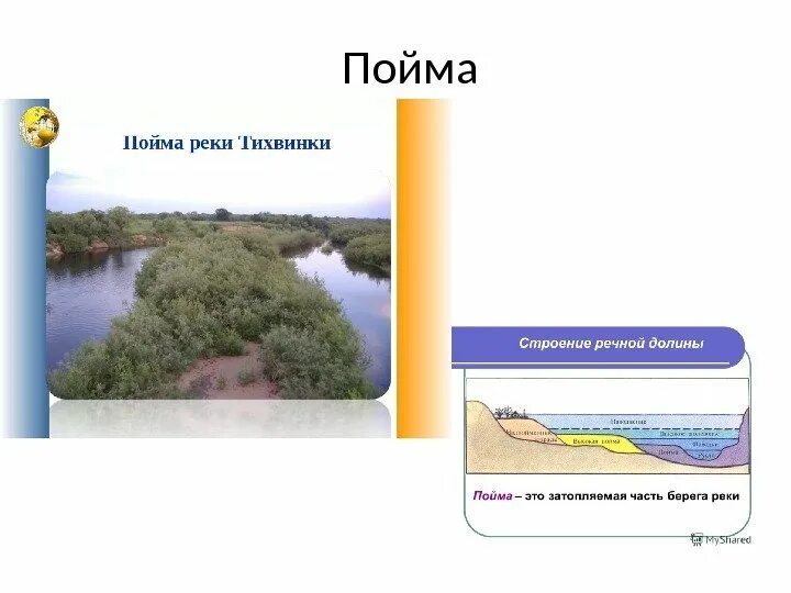 Пойма. Пойма реки. Строение Поймы реки. Пойма это в географии. Пойма это простыми словами