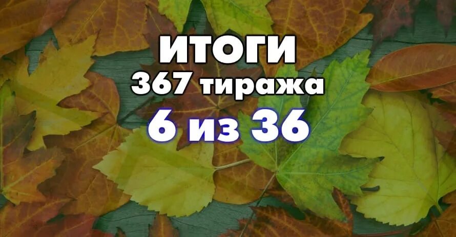 Розыгрыш тиража мечтальон. Розыгрыш весь сентябрь. Золотая подкова проверить билет тираж 367. Русское лото розыгрыш 10 сентября 2022. Билеты Золотая подкова разыграть 367 тираж.