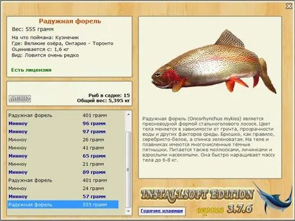 Какой вес форели