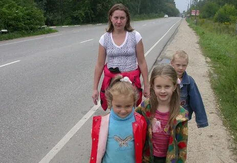 Шел движения