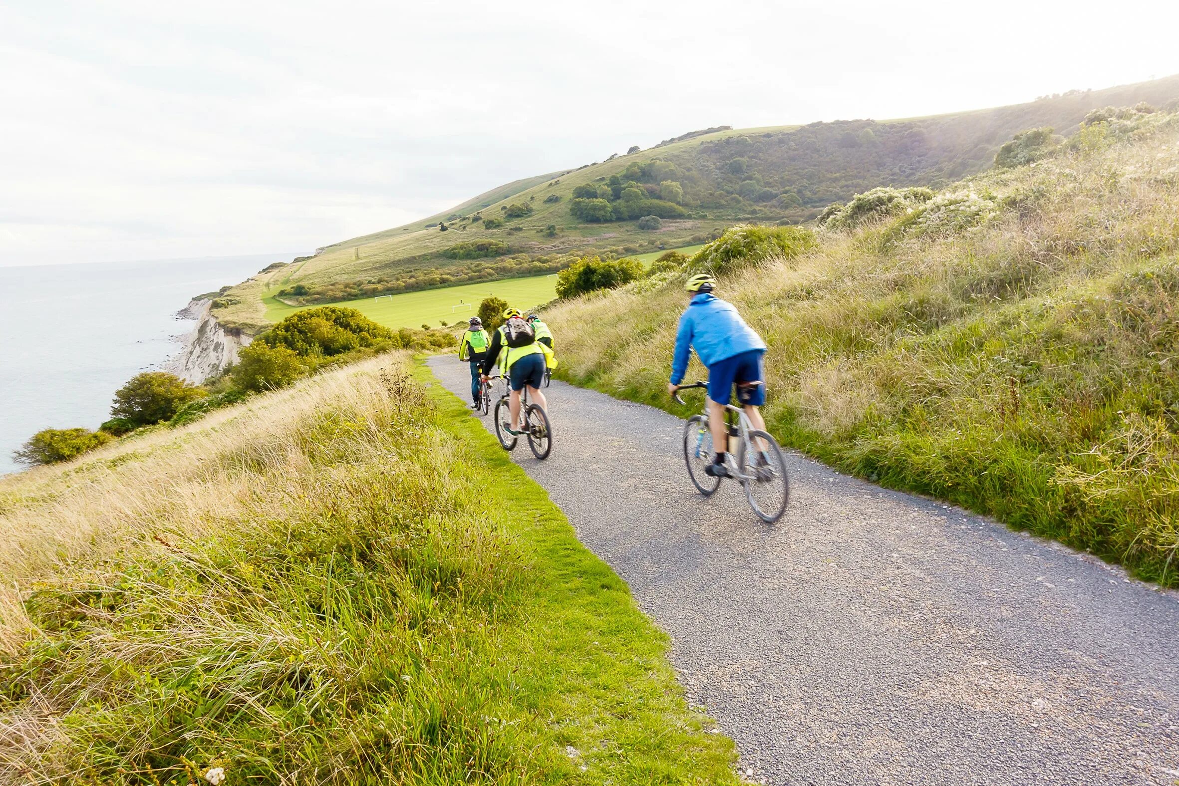 On one s way. South downs way. South downs парк. Саут-Даунс тропа в лесу. Bicycle way.