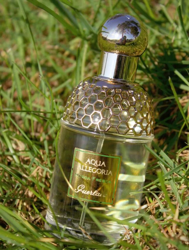 Guerlain Aqua Allegoria herba fresca. Туалетная вода Guerlain Aqua Allegoria herba fresca. Аква аллегория Херба фреска. Guerlain Aqua Allegoria herba fresca реклама. Guerlain aqua allegoria fresca