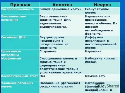 Виды некроза таблица