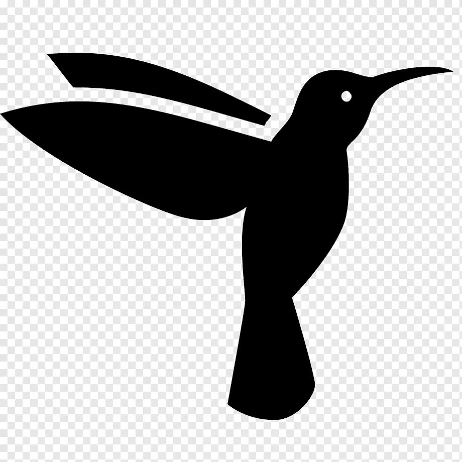 Силуэт птицы. Символ птицы. Птица вектор. Силуэт птицы на прозрачном фоне.