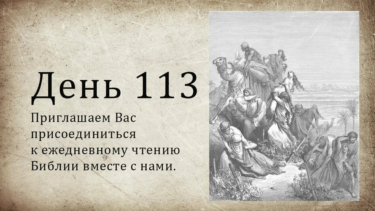 113 Дней картинка. Втор 6