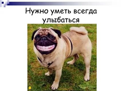 Я не умею улыбаться