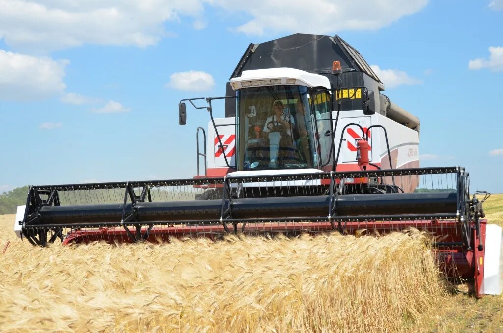 Торум 785. Приспособлениями для уборки мелкосеменных культур. Агропромышленный комплекс. Торум 750. Уборка ростовская область.