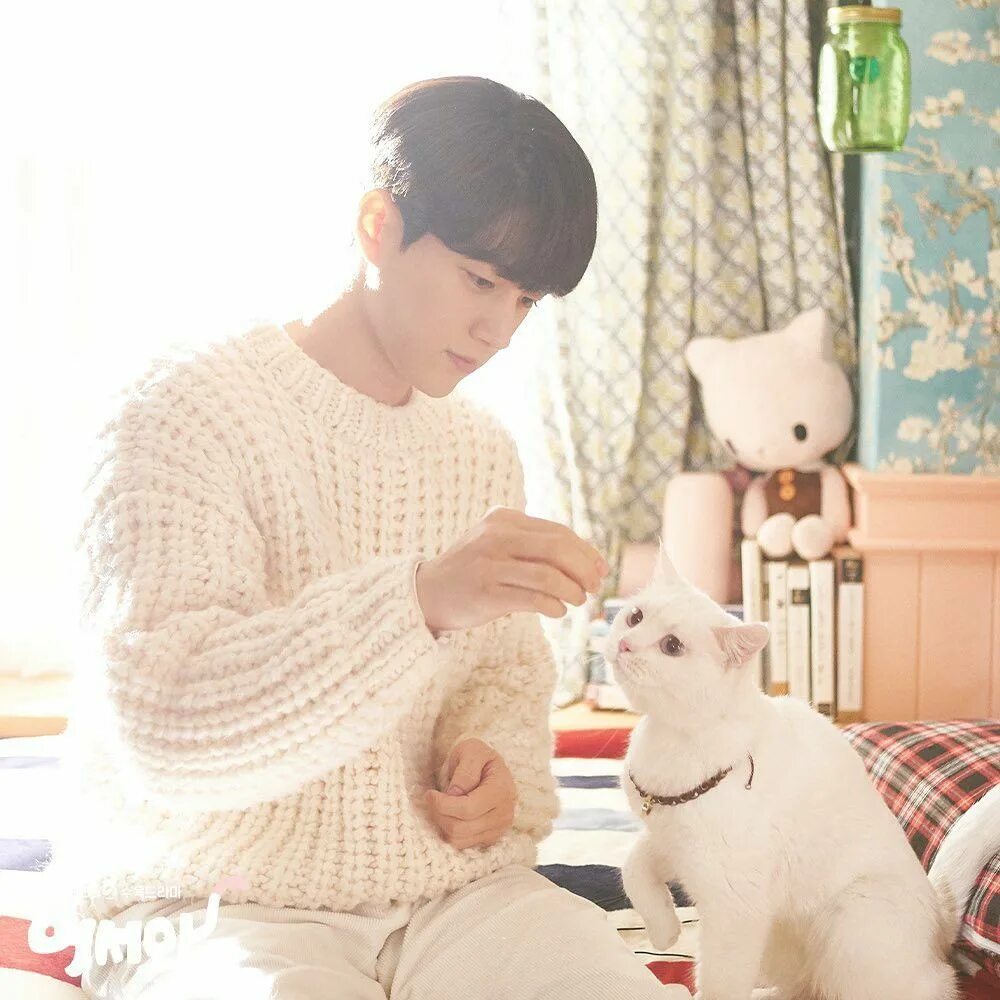 Dorama мяу таинственный парень. Мяу парень дорама. Мяу парень дорама. Мяу парень дорама. Мяу парень дорама.