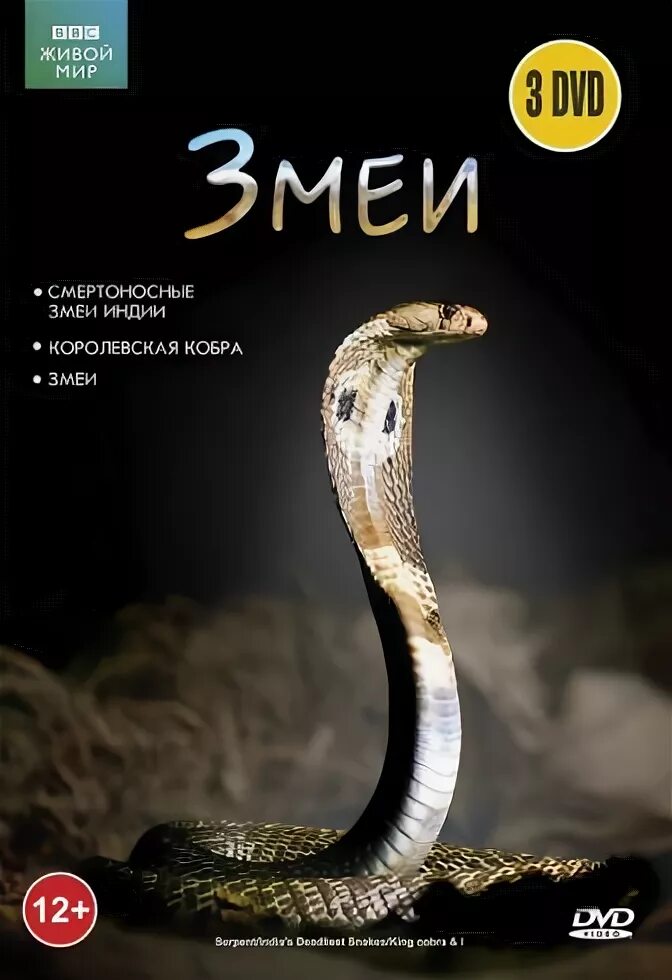 Ввс змеи. Ввс змей. Ввс змеи. Смертоносные змеи. Bbc про змей.