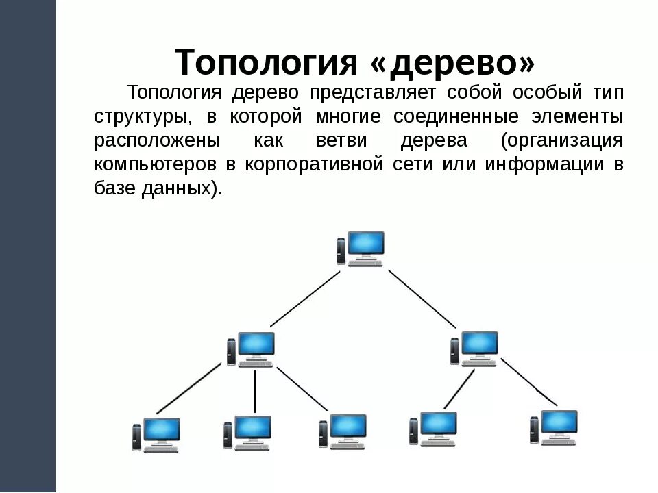 Типология сети. Дерево (топология компьютерной сети). древовидная топология (иерархическая звезда). древовидная топология компьютерной сети. топология последовательная линейная цепь.