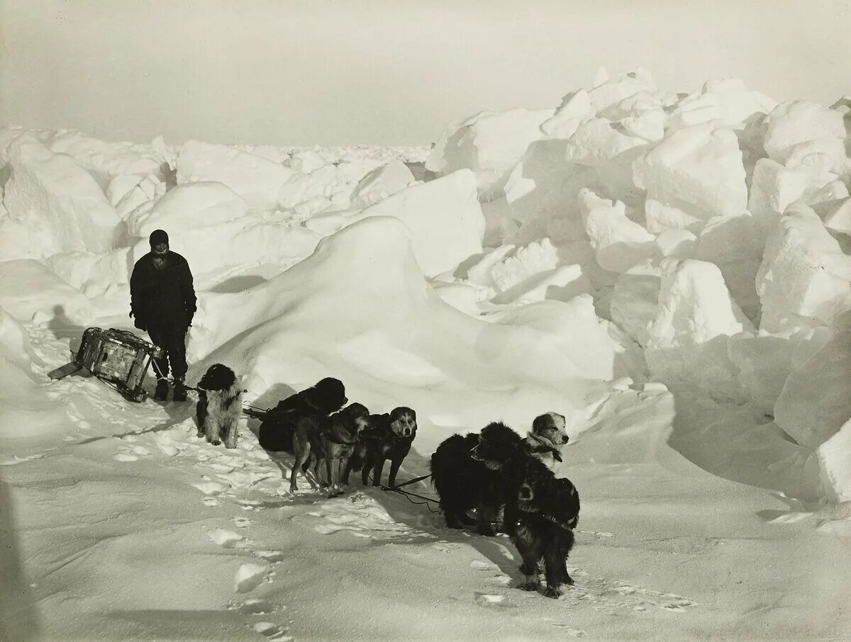 Покорение Южного полюса Амундсеном и Скоттом. Шеклтон Антарктида Экспедиция. Руководитель первой экспедиции покорившей южный полюс