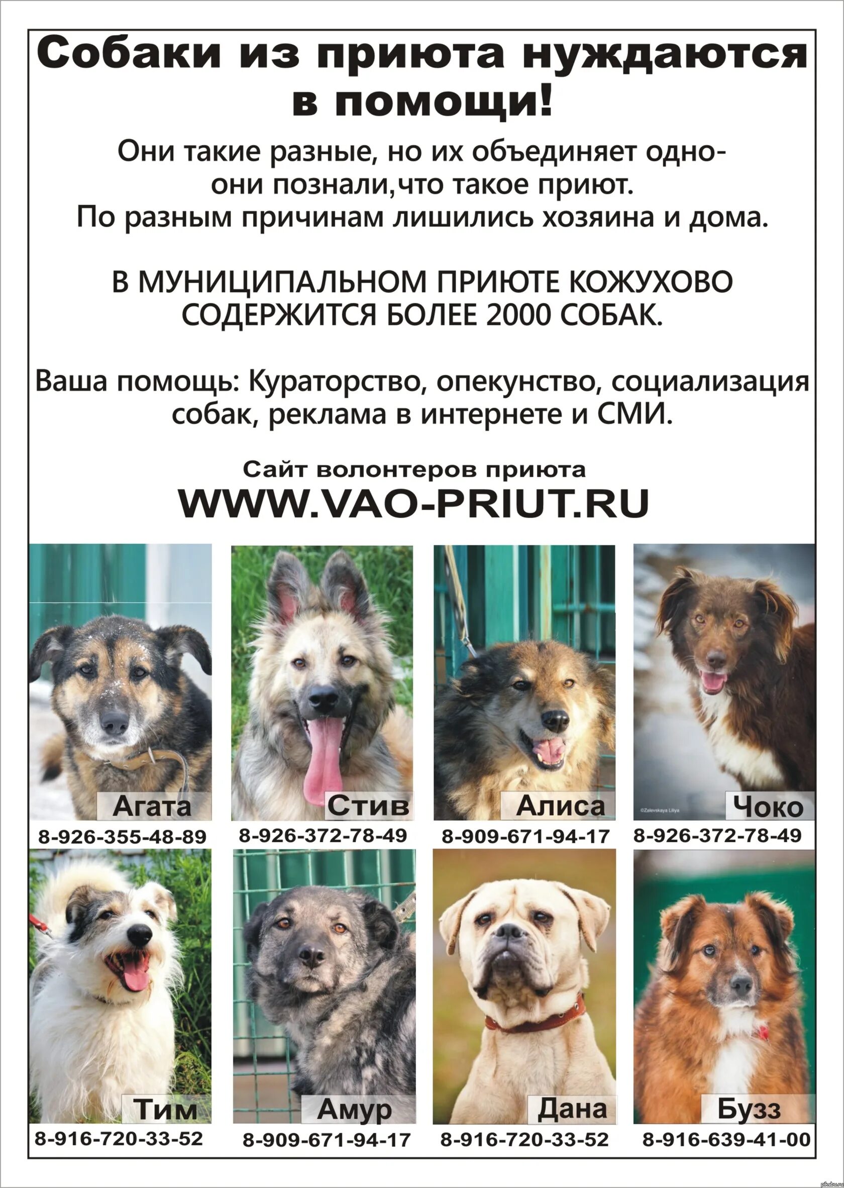 группа помощи верному