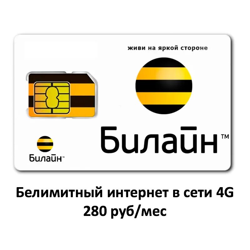 Безлимитный 4g интернет билайн