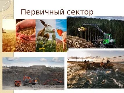 Экономика первична