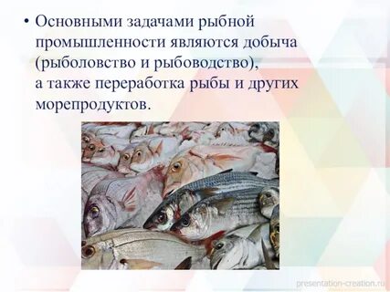 Вопросы рыболовства