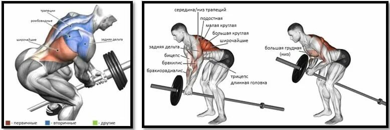 Румынская тяга мышцы стабилизаторы. Упражнения для прокачки мышц плеча. Трапеция мышца упражнения. Упражнения на ромбовидные мышцы спины. Нижняя трапеция.