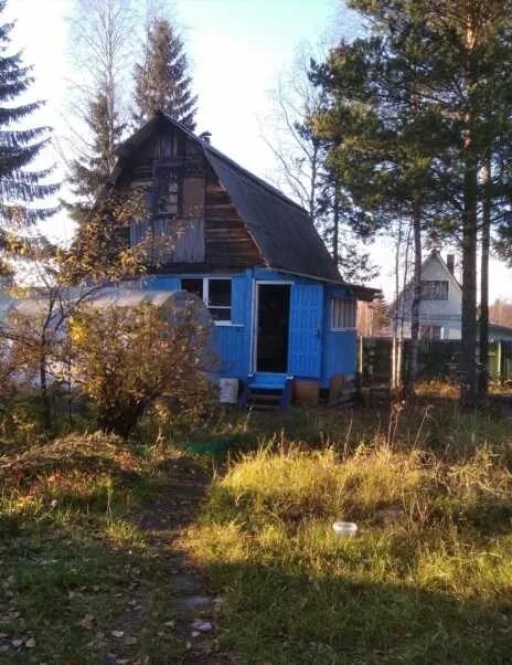 Снт рыжик. Архангельская дача. Таежные дачи подмосковье. Дачная 42 архангельск. Снт клюковка архангельск.