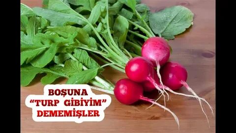 Редиска видео