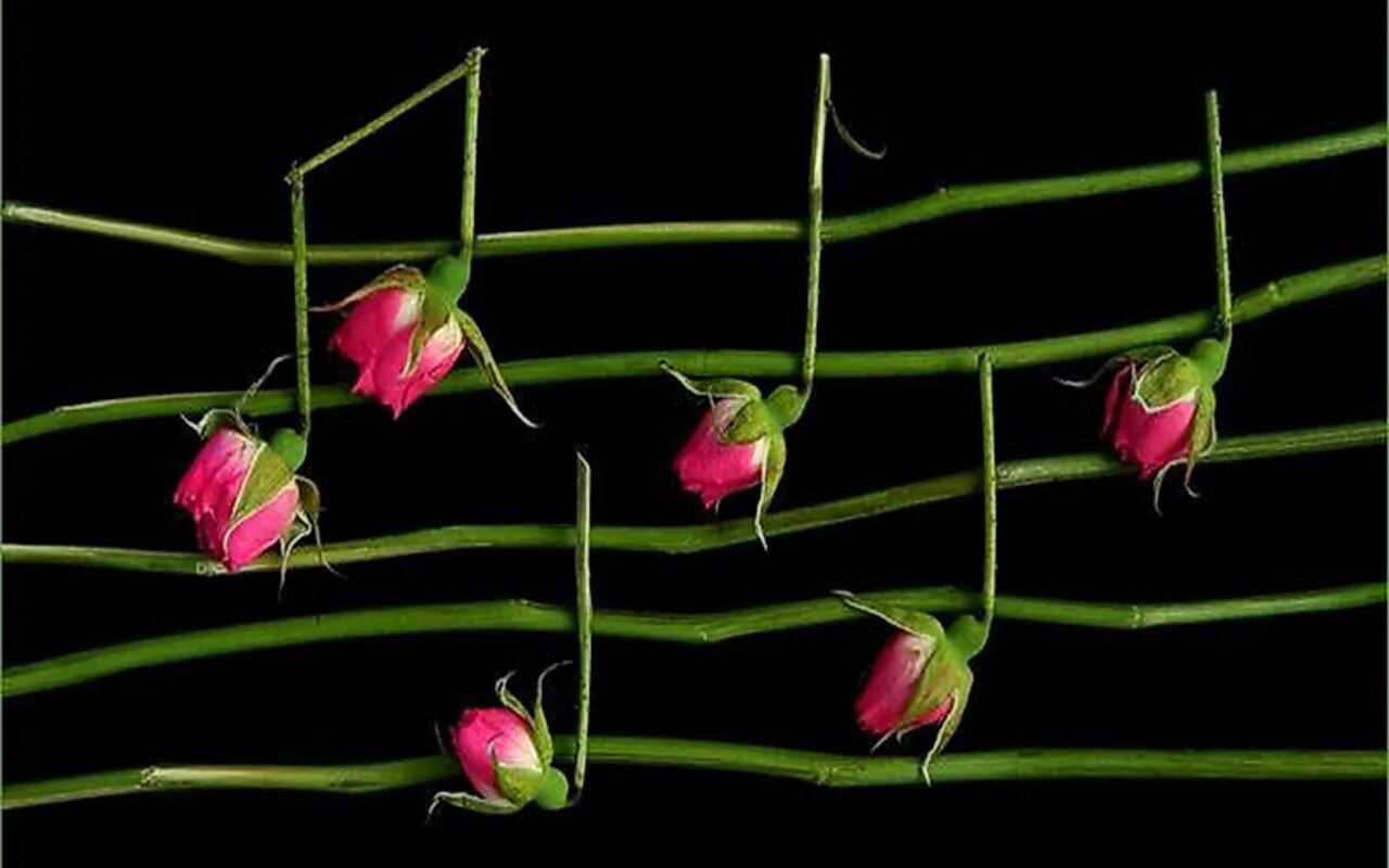 песня цветы поют. музыкальная весенняя открытка. музыкальные инструменты для детей. гитара в цветах. фортепиано и цветы.