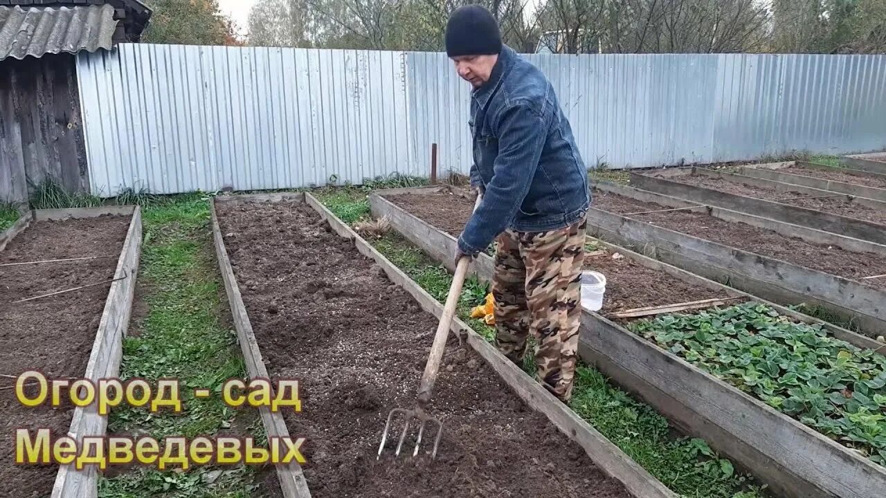 Подготовка огорода к посадке. Грядки подготовка к посадке. подготовка грядок осенью к посадке весной. супер удобные грядки и идеальный парник. как подготовить грядку для посадки.