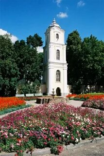 Несвижский колледж