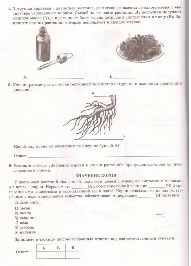 Образовательный портал решу впр биология 5 ответы. ВПР по биологии 5 класс с ответами. Подготовка к ВПР 5 класс биология. Подготовка к ВПР 5 класс биология с ответами. ВПР по биологии 5 класс 2023 год с ответами.