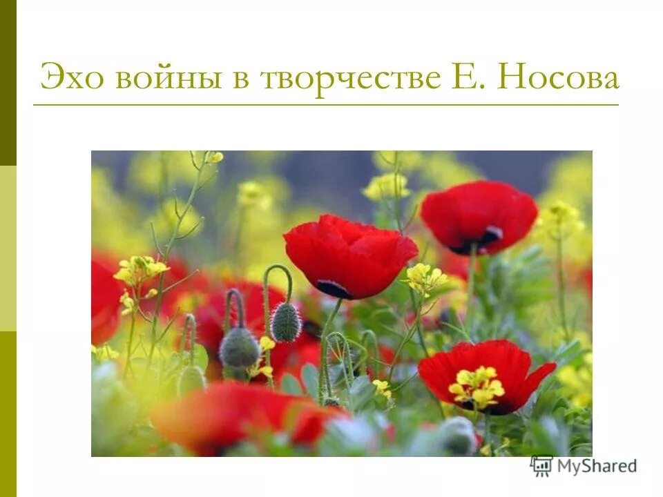 Тема рассказа живое пламя носова. Живое пламя рисунок. Иллюстрация к рассказу живое пламя Носова. Рисунок к рассказу живое пламя Носова. Тема произведения живое пламя.