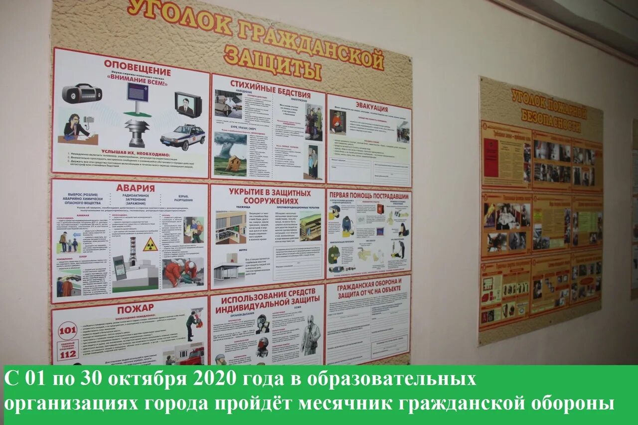 причины аварийной ситуации в организации. памятка действия в чс. уголок безопасности образовательного учреждения. правила поведения причм. уголок по гражданской обороне в организации.