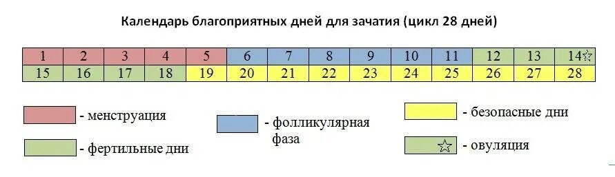 Дни для зачатия. Наиболее опасные дни для зачатия. Дни цикла удачные для беременности. Благоприятные дни для зачатия.