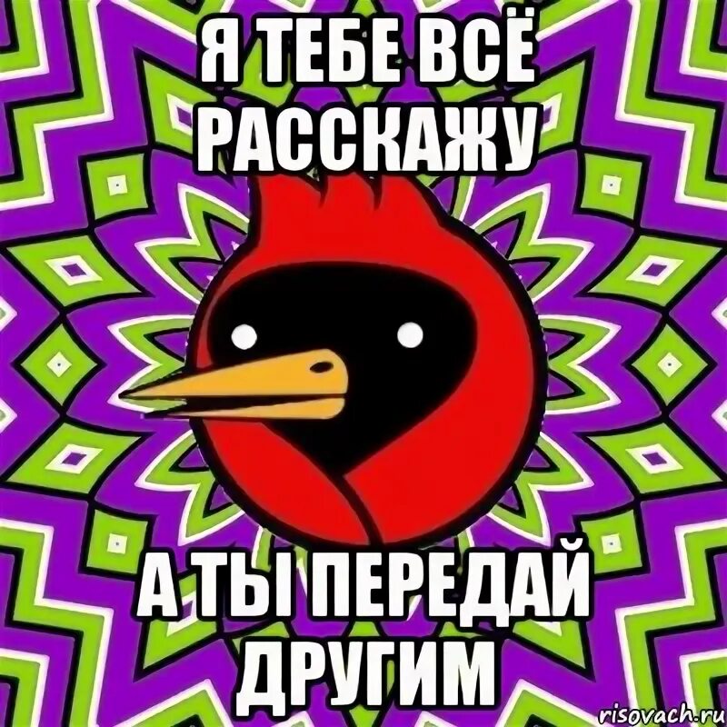 Омская птица Мем. Я С мозгами не дружу. Ляляля Жужужу с головой я не дружу. Ля ля ля. Ля ля ля про маму