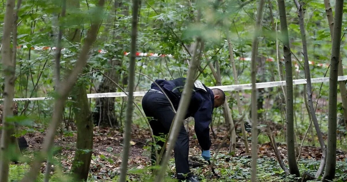 Нашли в лесу спящего. Трупы пропавших людей в лесу. Пугающая находка в лесу.