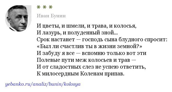 Бунин и цветы и шмели. Стих Бунина и цветы и шмели и трава. Стихотворение последний шмель