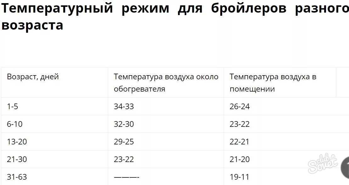 Температурный режим бройлеров кобб 500. Нормы кормления бройлеров. график корма для бройлеров. температурный режим для бройлеров по дням. норма кормления бройлеров по дням.