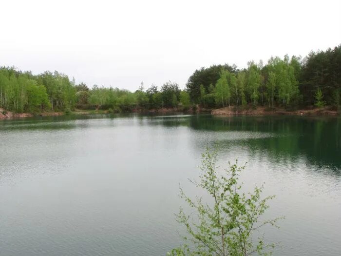 озеро гать липецкая область. озеро гать липецкая область. река плавица в липецкой области. лопозеро и жилое озеро видео и подломка. река плавица добринского района липецкой.