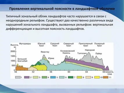 Проявление природной зональности примеры ландшафтов