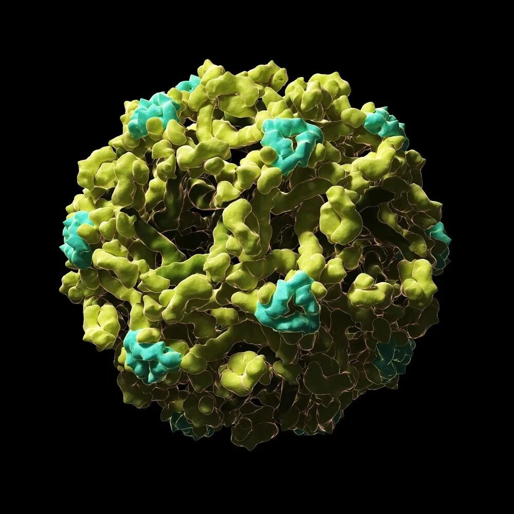 Like virus. Вирус. Зомби вирус под микроскопом. Вирус лихорадки Денге под микроскопом.