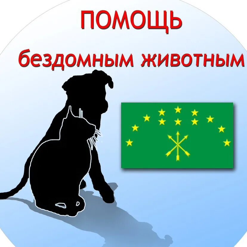 Приют для животных в петрозаводске. Животные в приюте. Собака портос из приюта. Приюты майкопа. Приюты майкопа.