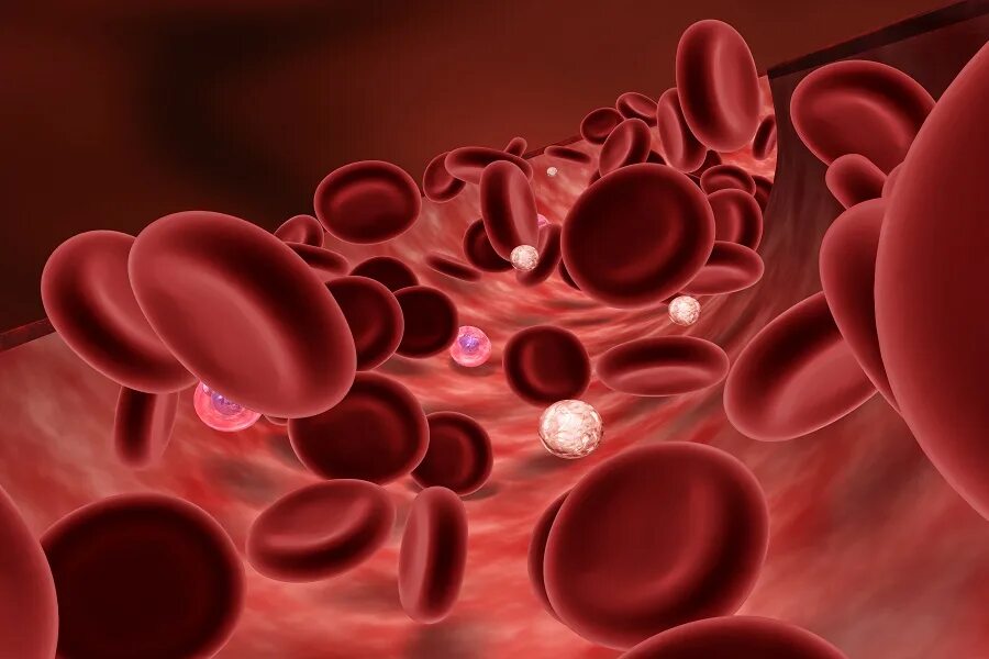 Эритроциты понижены у женщины причины. Понижение эритроцитов в крови. Причины пониженных эритроцитов. Повышенное количество эритроцитов в крови женщины. Эритроциты в крови у взрослого норма.