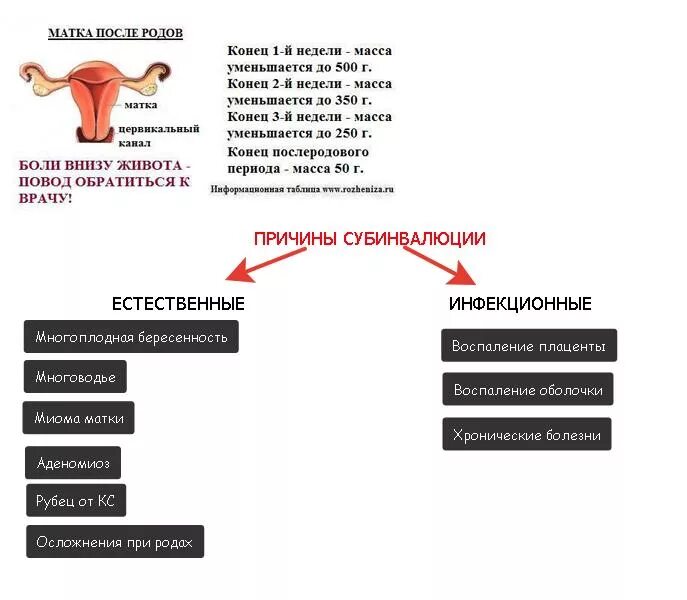 После родов болит правый. Осложнения субинволюции матки. Сокращение матки после родов по неделям. Матка в послеродовом периоде сокращается на. Как сокращается матка после родов.