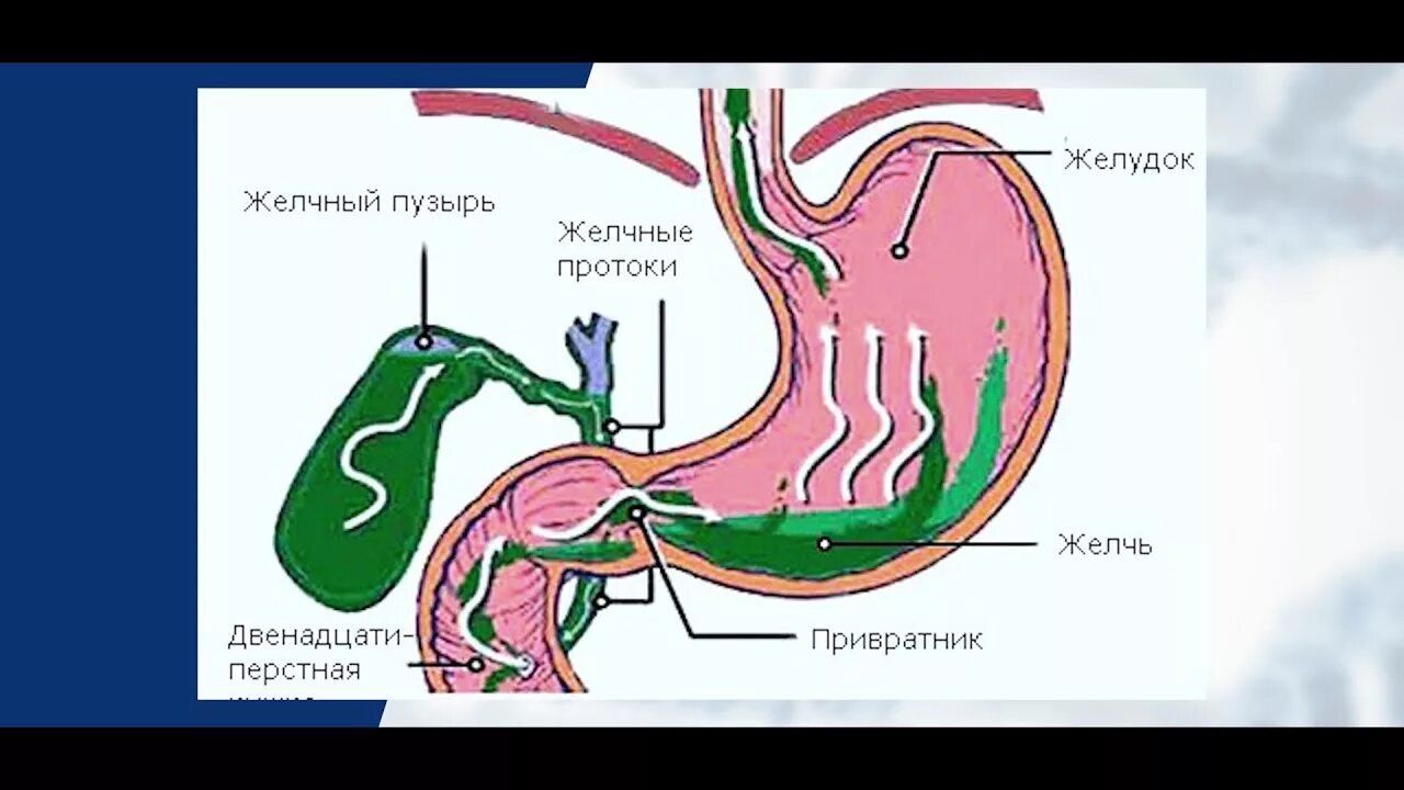 Пищевод антибиотики