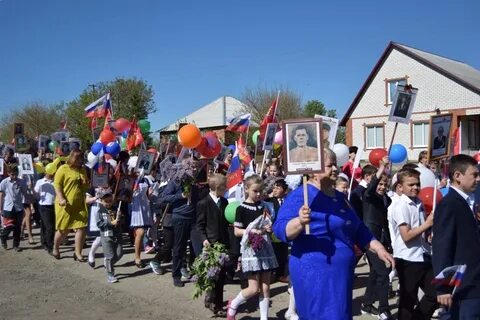 Погода вольно донская ростовская область