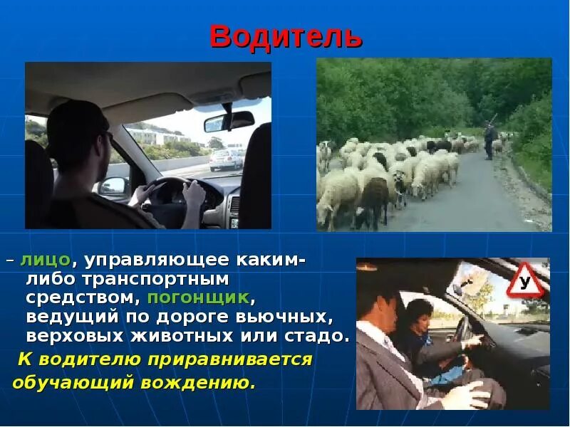 Профессия шофер. Профессия водитель. Ответственность водителя. Профессия водитель шофер. Водитель определение.