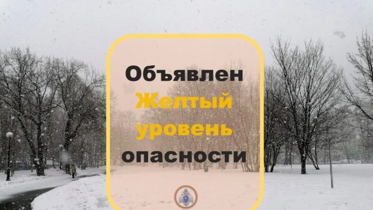 Закрой снежок. Штормовое предупреждение объявлен желтый уровень опасности. Жёлтый уровень опасности из за усиления ветра.