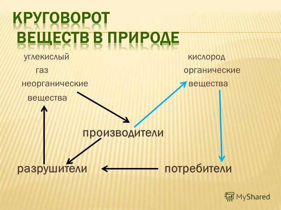 кислород неорганические вещества. аллотропия химических элементов. клетка молекула атом. связь между атомами кислорода. органические и неорганические вещества кислород.
