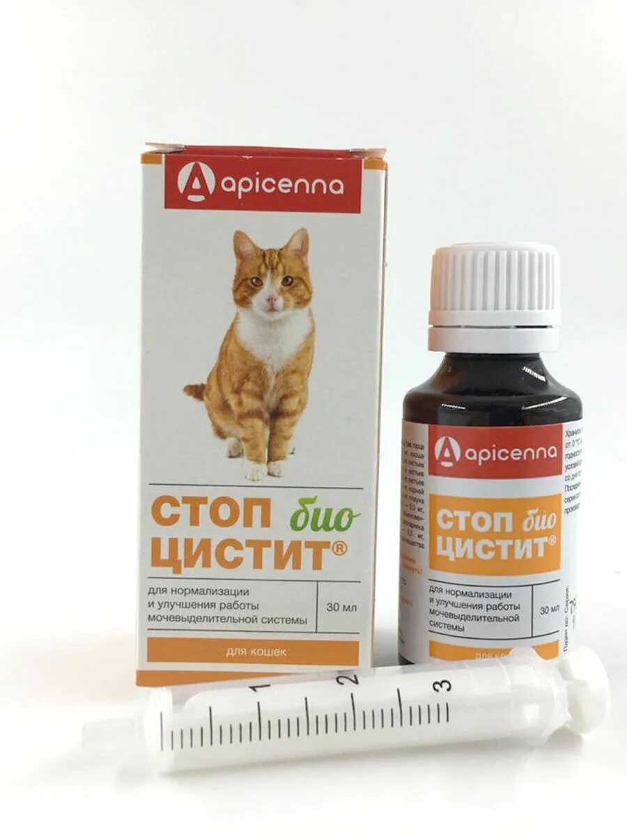 Стоп цистит био. Стоп-цистит био (для кошек), 30 мл. суспензия apicenna стоп-цистит био для кошек, 30 мл. стоп-цистит био суспензия для кошек 30 мл. apicenna суспензия для кошек стоп цистит био.