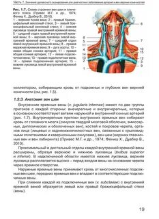 Внечерепные отделы брахиоцефальных артерий
