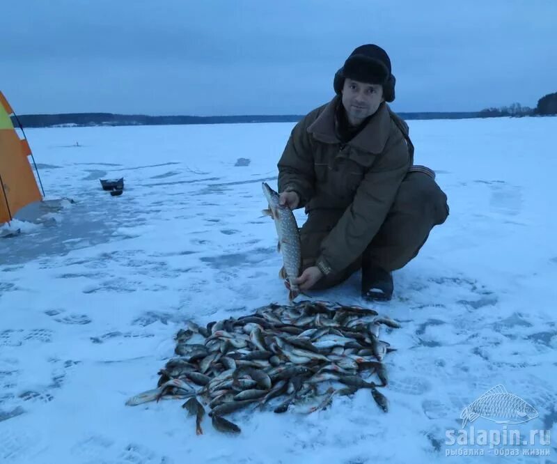 Погода в няндоме 10 дней самый точный. Рыбалка в Каргополе. Рыбалка Няндома. Активная рыбалка. Рыбалка Няндома пруд.