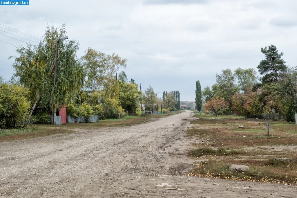 Тамбовская рассказовский никольское